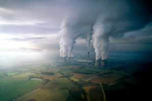 ����������Ⱦ���������